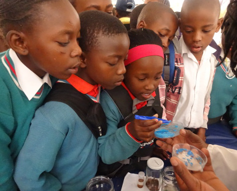 RADMASTE Primary Microscience