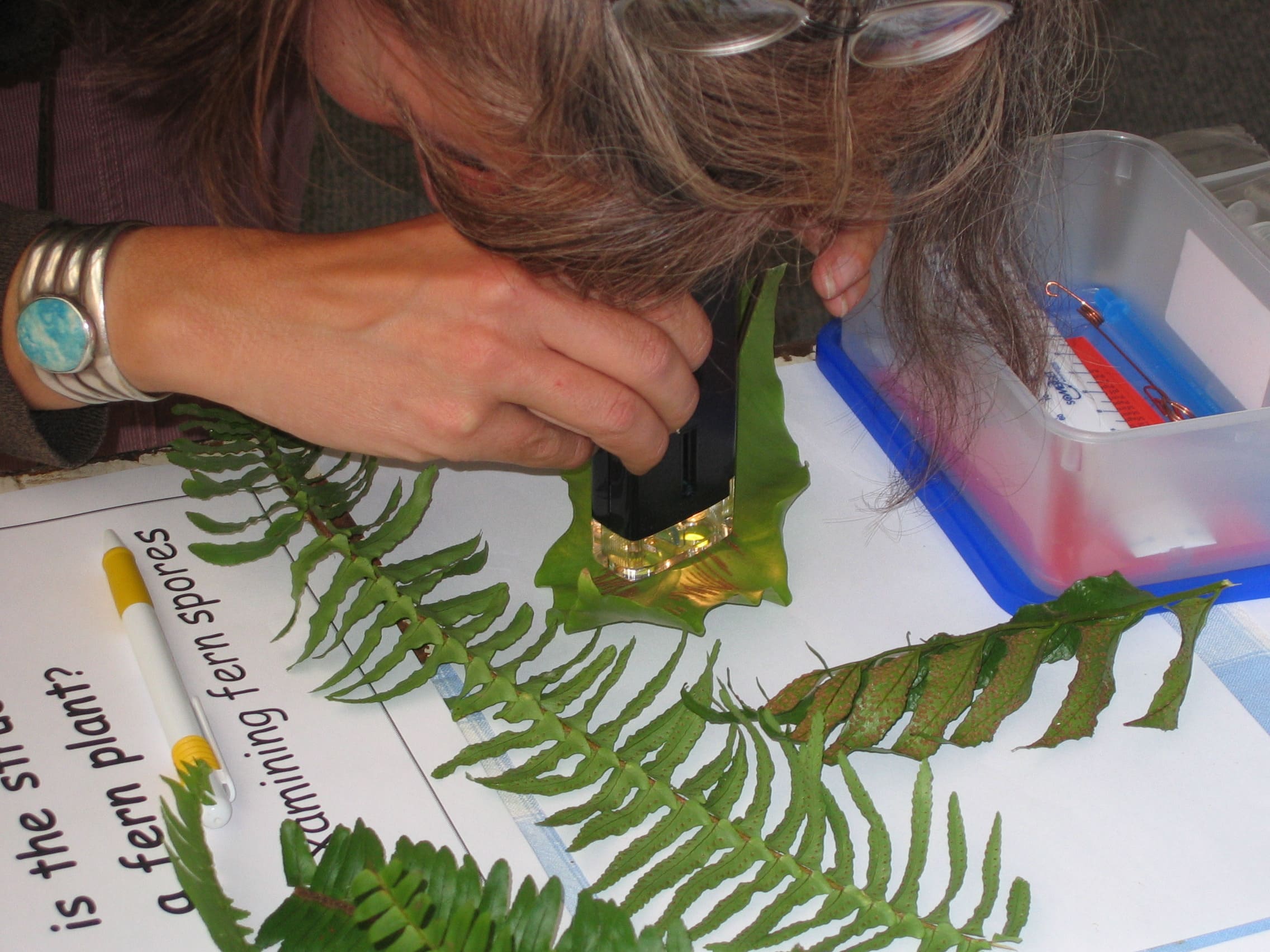 The handheld microscope is a unique tool in the RADMASTE Micro Bio-observation Kit.
